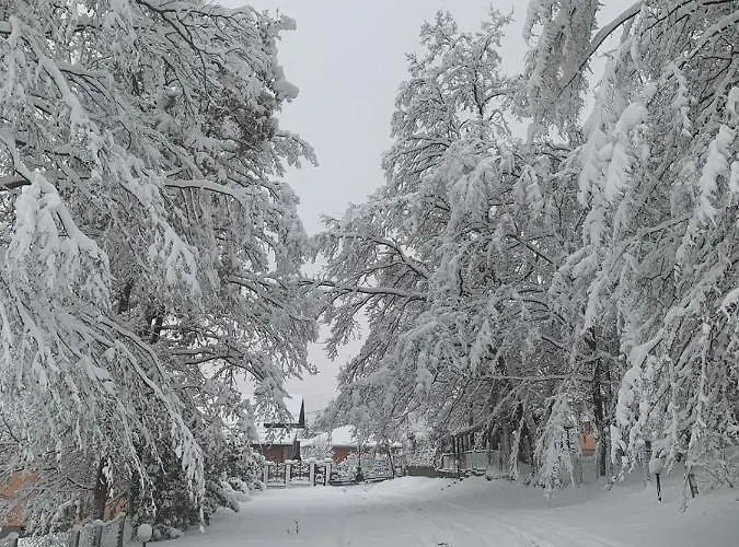 Weekend Poolhouse Sarajevo Prázdninový dům Misevici